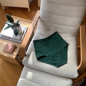 ARQ High-Rise Undies in Fern